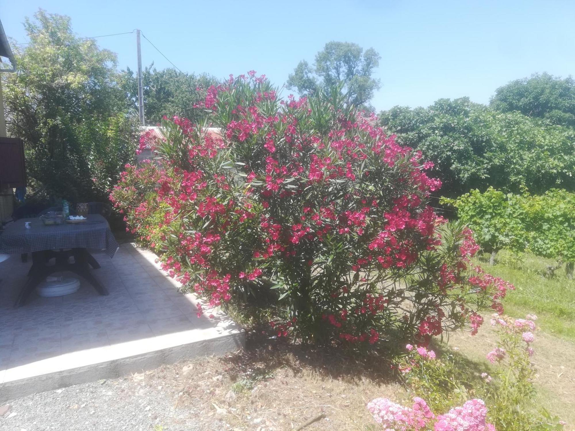 Les Vignes Βίλα Pomport Εξωτερικό φωτογραφία